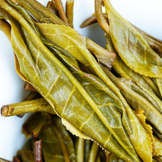 【旧衙门】23年头春头采古茶易武斗茶大会金奖原料易武北大门被遗忘的“亚特兰蒂斯”拍5发6 商品图2