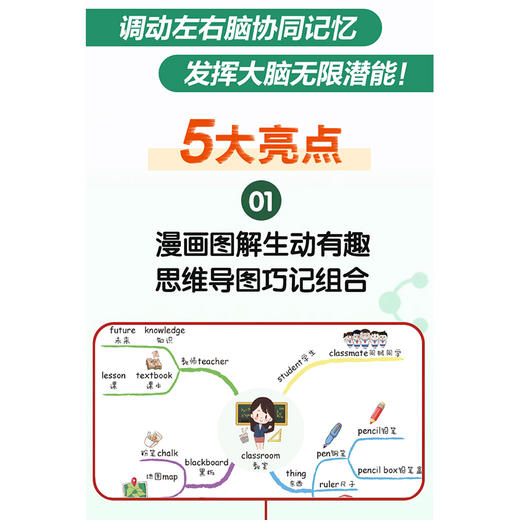 思维导图 记单词 商品图2