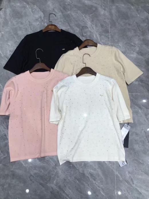 女羊毛短袖衫6039 商品图0