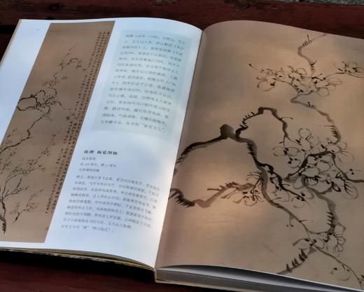 稀缺！！《丹青蹊径：津晋馆藏扬州画派绘画精品》，16开，铜版彩印，天津博物馆、山西博物院编，山西人民出版社2023年5月一版一印，北京雅昌精印，定价220元，售价208元。 商品图4