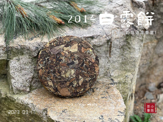 【限量特供】11年陈老白茶饼，老白茶里的标杆，2014白露饼带来浓郁枣香、药香！ 商品图10