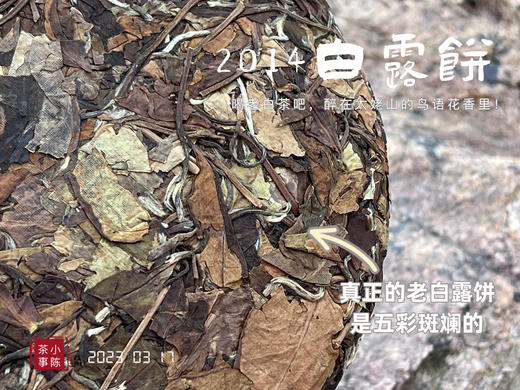 【限量特供】11年陈老白茶饼，老白茶里的标杆，2014白露饼带来浓郁枣香、药香！ 商品图3