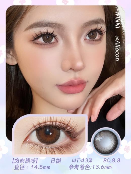 *Winni温妮WN-D20肉肉熊咪 14.5mm【日抛10片 | 2片/小盒*5小盒】 商品图1