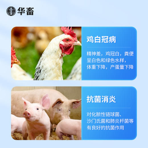 华畜兽用磺胺间甲氧嘧啶钠片鸡鸭猫狗球虫弓形虫抗菌球虫病白冠病 商品图3