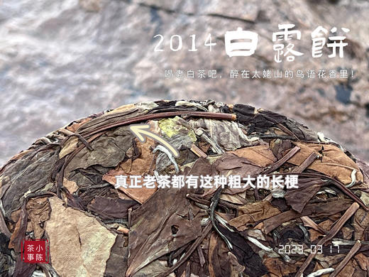 【限量特供】11年陈老白茶饼，老白茶里的标杆，2014白露饼带来浓郁枣香、药香！ 商品图6
