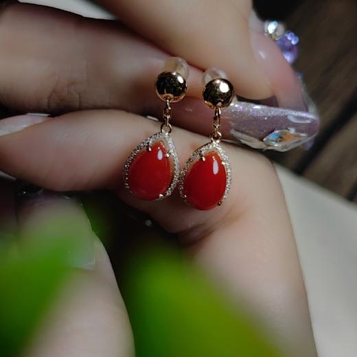 18k镶嵌天然深海有机珠宝耳钉 商品图4