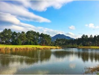 福州新东阳平日1球1晚套餐 商品图0