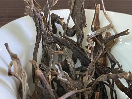 【呷一口】22秋 生普洱  昔归古树 呷一口  200克/饼 商品图8