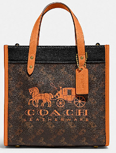 COACH棕橘拼色C8456