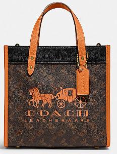 COACH棕橘拼色C8456 商品图0