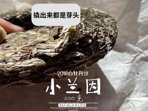 【春茶惠，买7饼送1饼】2018准牡丹王饼《小兰因》花香潋滟，汤水柔中带润，润中含香 商品图7