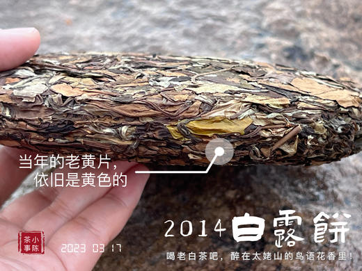 【限量特供】11年陈老白茶饼，老白茶里的标杆，2014白露饼带来浓郁枣香、药香！ 商品图4