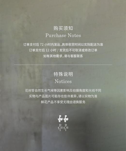 鹤望兰  Bird of Paradise 商品图4