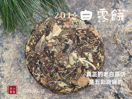 【限量特供】11年陈老白茶饼，老白茶里的标杆，2014白露饼带来浓郁枣香、药香！ 商品图5