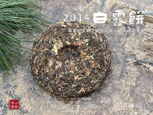 【限量特供】11年陈老白茶饼，老白茶里的标杆，2014白露饼带来浓郁枣香、药香！ 商品图9