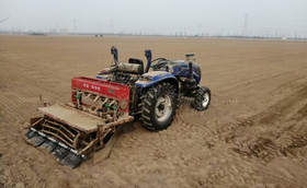 大葱移栽前应该如何整地?