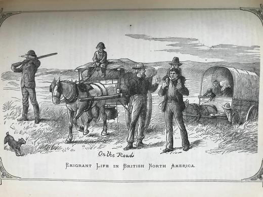 1881年 家庭箴言杂志 约百幅插图 漆布精装16开 商品图11