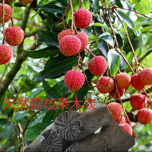 荔枝果木炭烧烤炭围炉煮茶碳环保炭火锅炭户外用家用商用木炭批发 商品图0