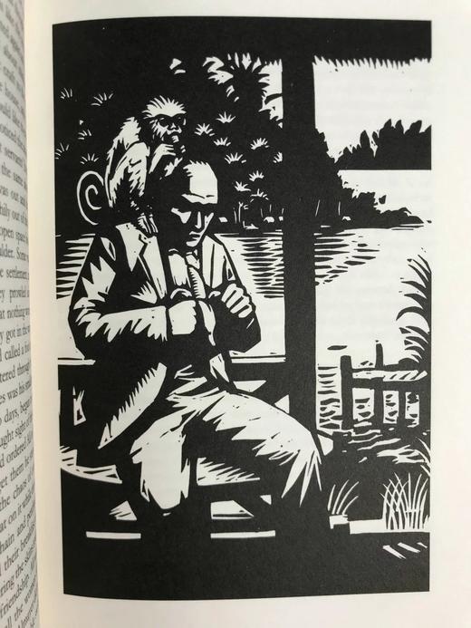 康拉德《阿尔迈耶的愚蠢》 12幅插图 精装大32开带书匣 商品图10