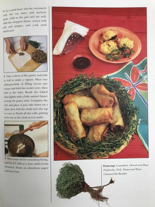 药草图鉴与烹饪食谱（1995） 600余幅插图 精装大16开 商品图7