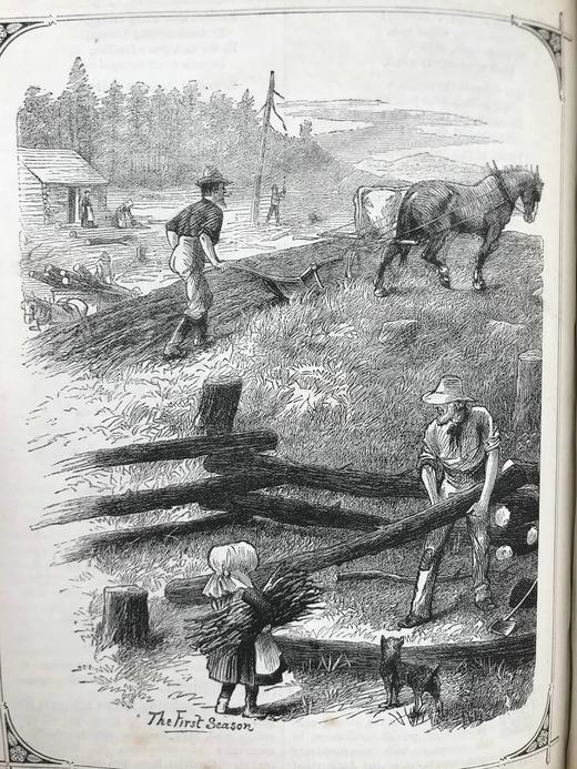 1881年 家庭箴言杂志 约百幅插图 漆布精装16开 商品图6