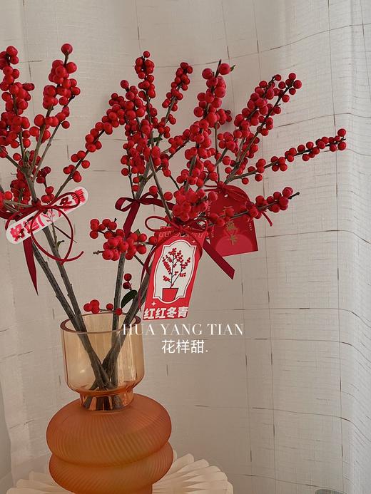 好运冬青 · 瓶花 商品图2