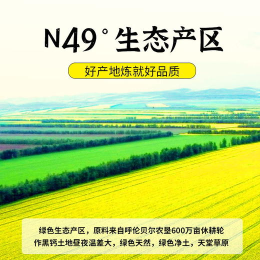 【小米专属b】苍茫谣呼伦贝尔芥花油，非转基因压榨5L 商品图1