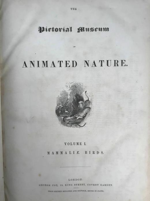 约19世纪早期 动物版画图鉴（全2卷合订本） 约4000幅版画插图 真皮精装8开 商品图3