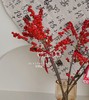 好运冬青 · 瓶花 商品缩略图3
