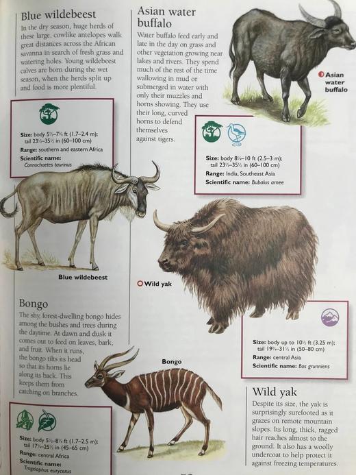 国家地理动物百科全书 数百幅彩色插图 精装16开 商品图13