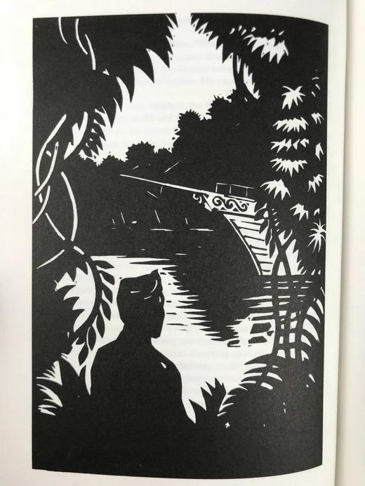 康拉德《阿尔迈耶的愚蠢》 12幅插图 精装大32开带书匣 商品图7