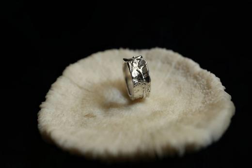 CHEZ BOQUE 冬日童话系列原创手工925银抽象造型戒指《分叉之径》 商品图3