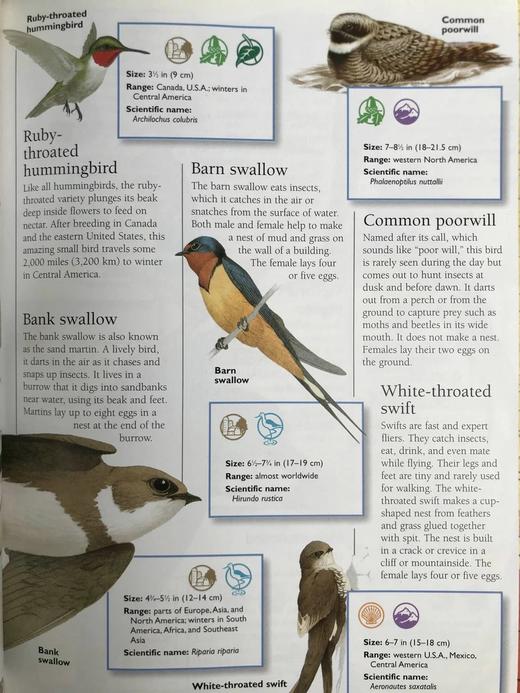 国家地理动物百科全书 数百幅彩色插图 精装16开 商品图11