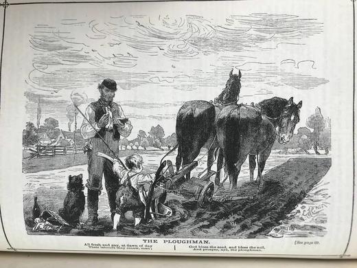 1881年 家庭箴言杂志 约百幅插图 漆布精装16开 商品图14