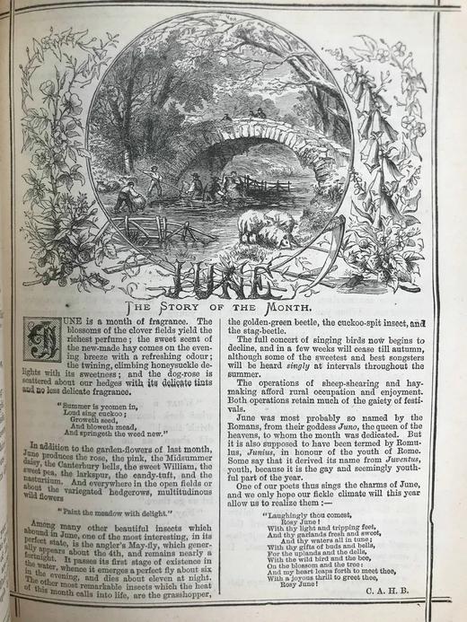 1881年 家庭箴言杂志 约百幅插图 漆布精装16开 商品图10