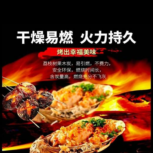 荔枝果木炭烧烤炭围炉煮茶碳环保炭火锅炭户外用家用商用木炭批发 商品图8