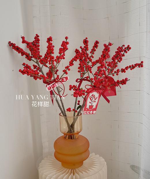 好运冬青 · 瓶花 商品图0