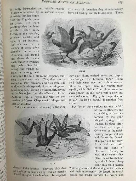 1894年 卫斯理公会杂志 数百幅插图 真皮精装16开 商品图10