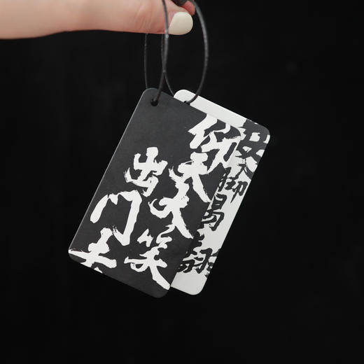 《天生骄傲：李白诗选苏轼词选》 丰富文创，诗酒远方 商品图6