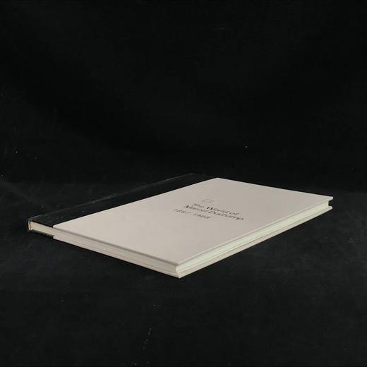 马塞尔·杜尚的世界 约百余幅插图 精装大16开带书匣 商品图2