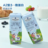 聚便利 X 山姆 Member's Mark A2型β-酪蛋白全脂牛奶（灭菌乳）250ml 商品缩略图3