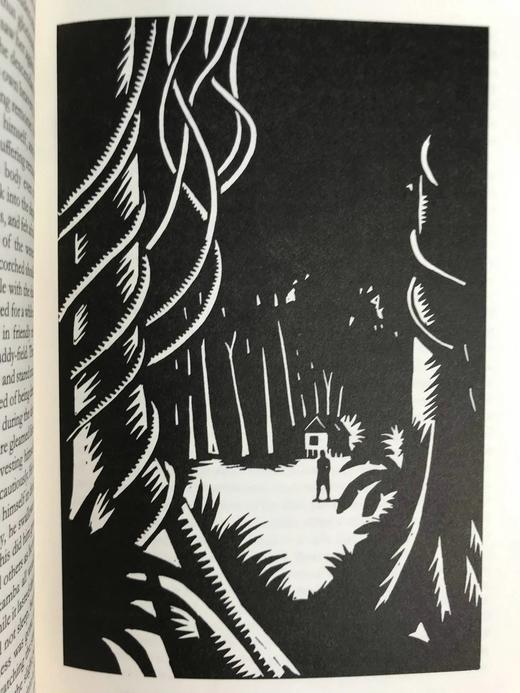 康拉德《阿尔迈耶的愚蠢》 12幅插图 精装大32开带书匣 商品图9