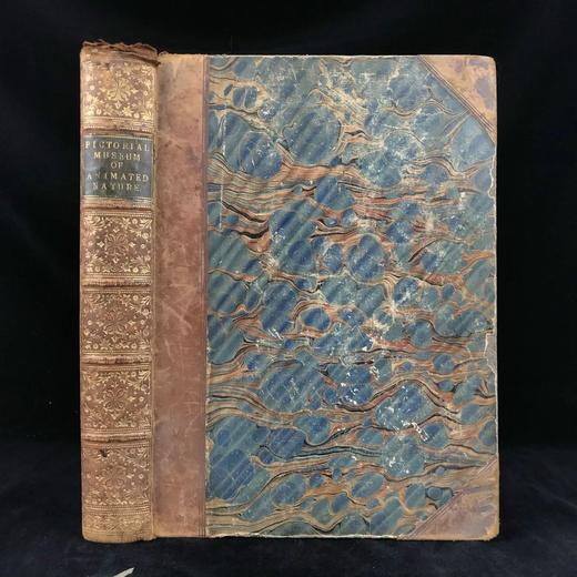 约19世纪早期 动物版画图鉴（全2卷合订本） 约4000幅版画插图 真皮精装8开 商品图0