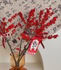 好运冬青 · 瓶花 商品缩略图1