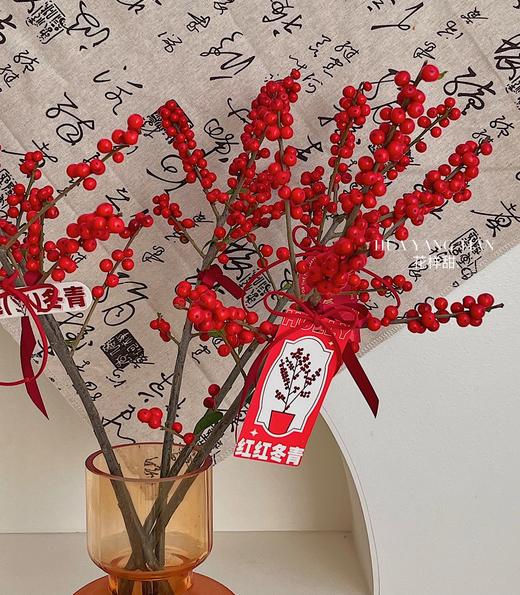 好运冬青 · 瓶花 商品图1