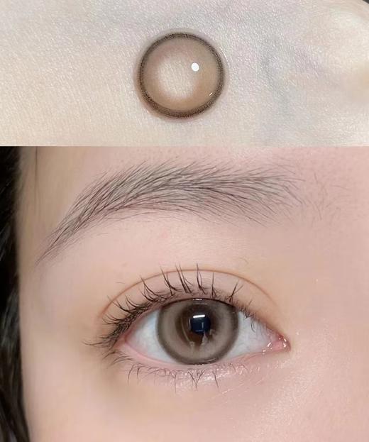 Claire color旗下  元气水蓝&元气光棕｜14.5mm白狮参考着色待测   日抛 商品图6