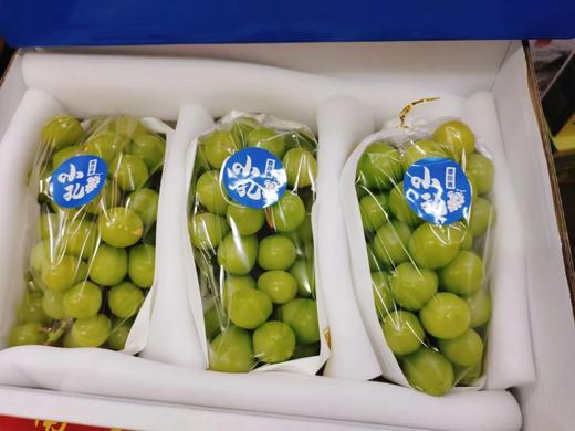 小孔晴王礼盒 商品图1