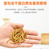 面包虫干袋装芦丁鸡鹦鹉仓鼠粮食饲料 高蛋白 商品缩略图1