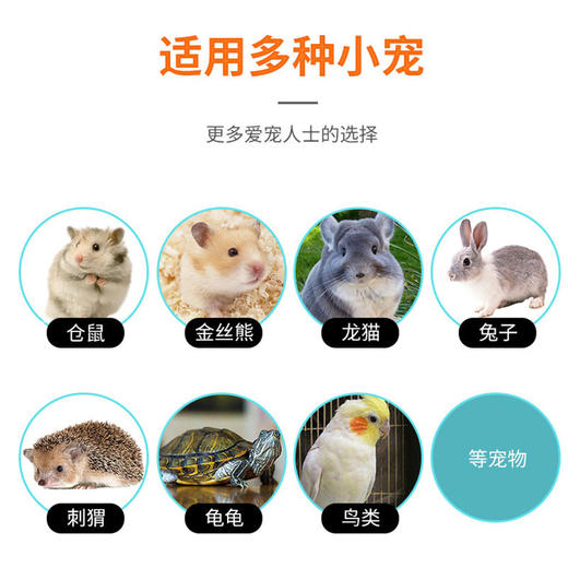 面包虫干袋装芦丁鸡鹦鹉仓鼠粮食饲料 高蛋白 商品图3