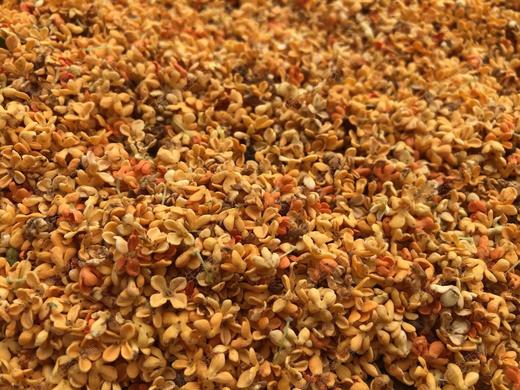 【野生桂花 】桐庐山涧  野生桂花  自然晾干// 做桂花糕、蒸馒头、做甜品，装点你的生活~ 商品图1